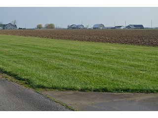Property photo 35 - 77 +/- Acres Offered in 6 Tracts - Premier Estate Auction